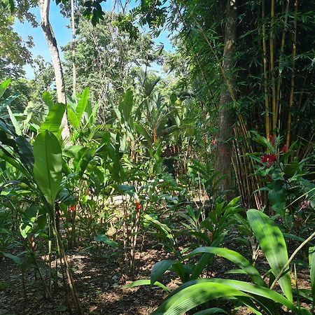 El Jardin De Playa Negra Villa Puerto Viejo de Talamanca Luaran gambar