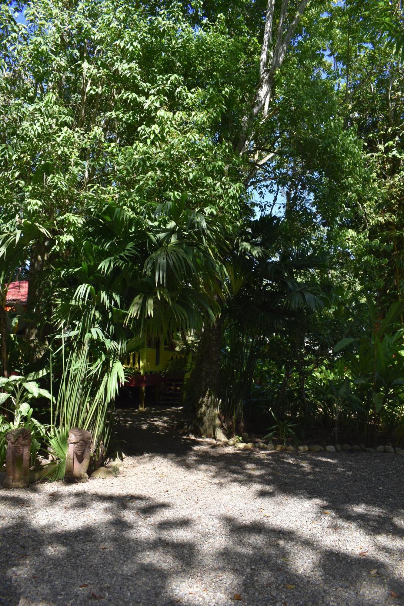El Jardin De Playa Negra Villa Puerto Viejo de Talamanca Luaran gambar