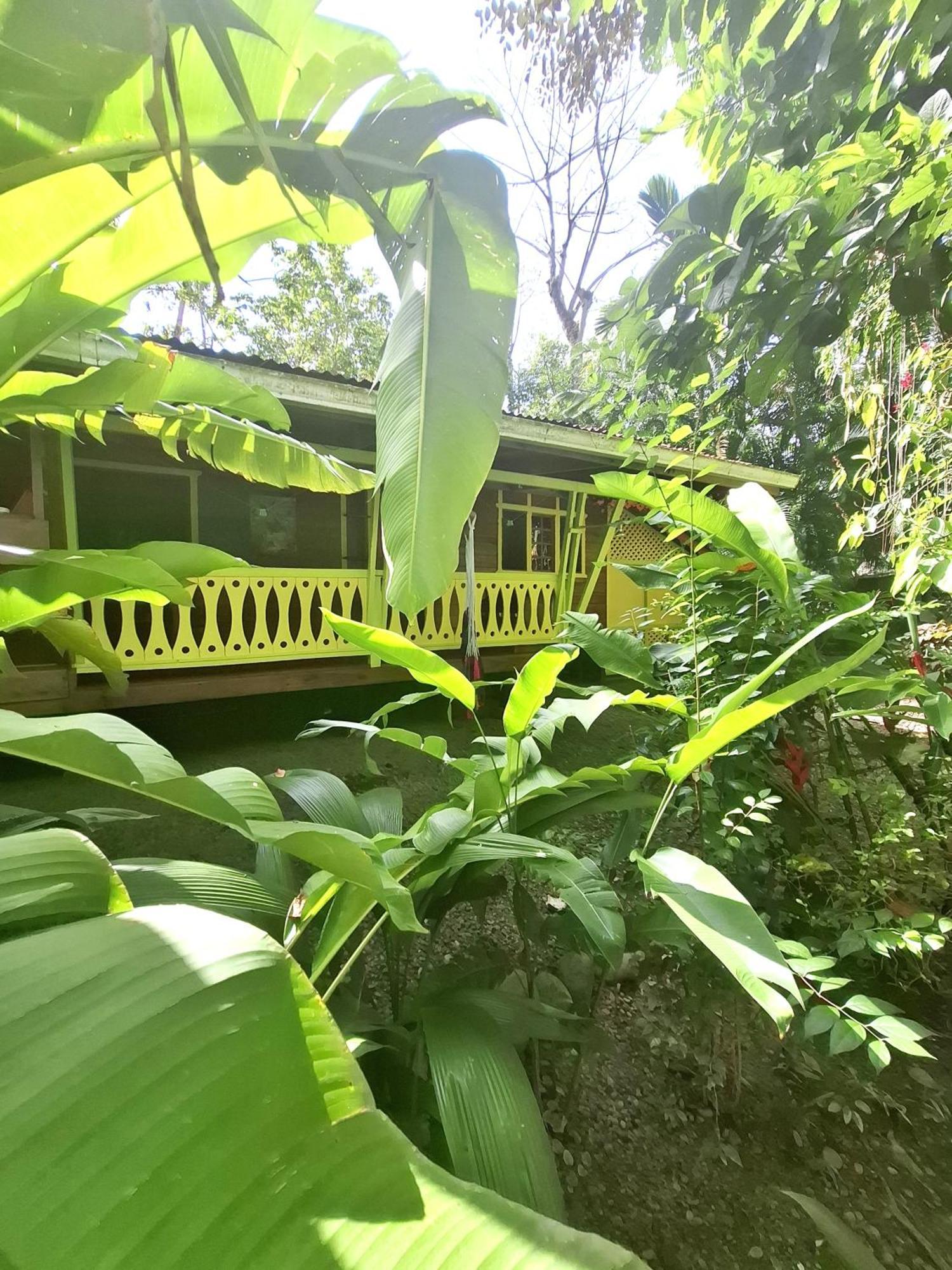 El Jardin De Playa Negra Villa Puerto Viejo de Talamanca Luaran gambar