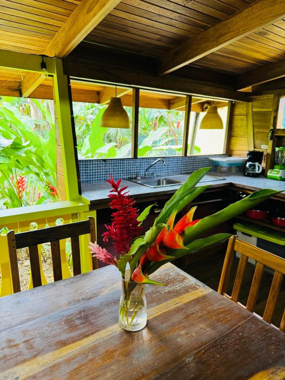 El Jardin De Playa Negra Villa Puerto Viejo de Talamanca Luaran gambar