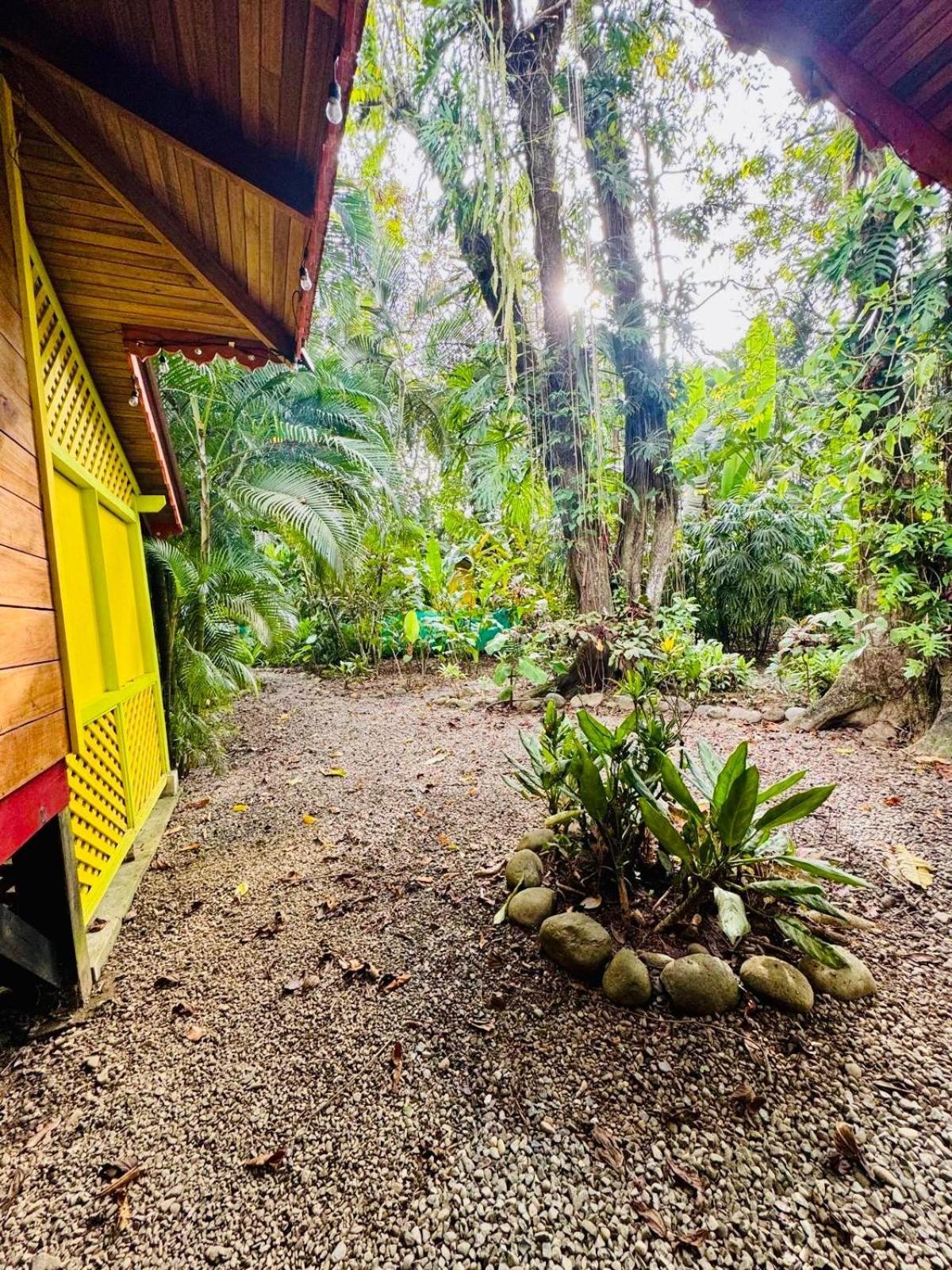 El Jardin De Playa Negra Villa Puerto Viejo de Talamanca Luaran gambar