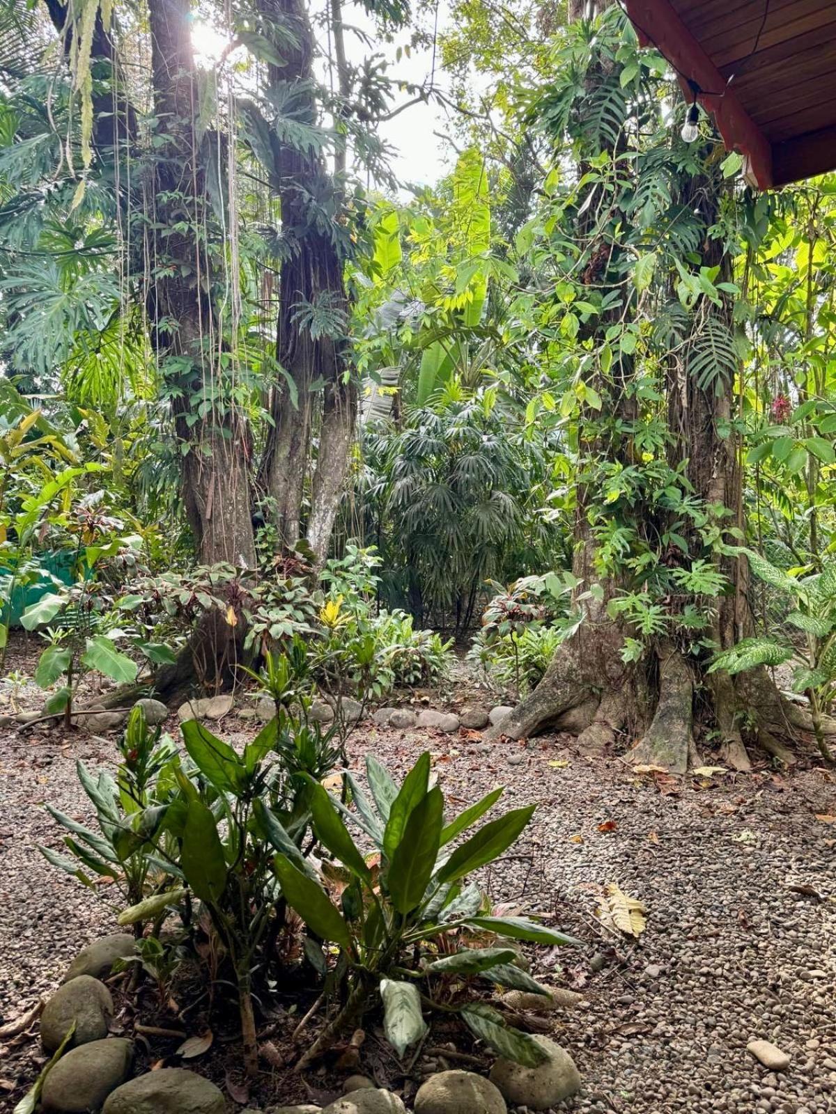 El Jardin De Playa Negra Villa Puerto Viejo de Talamanca Luaran gambar