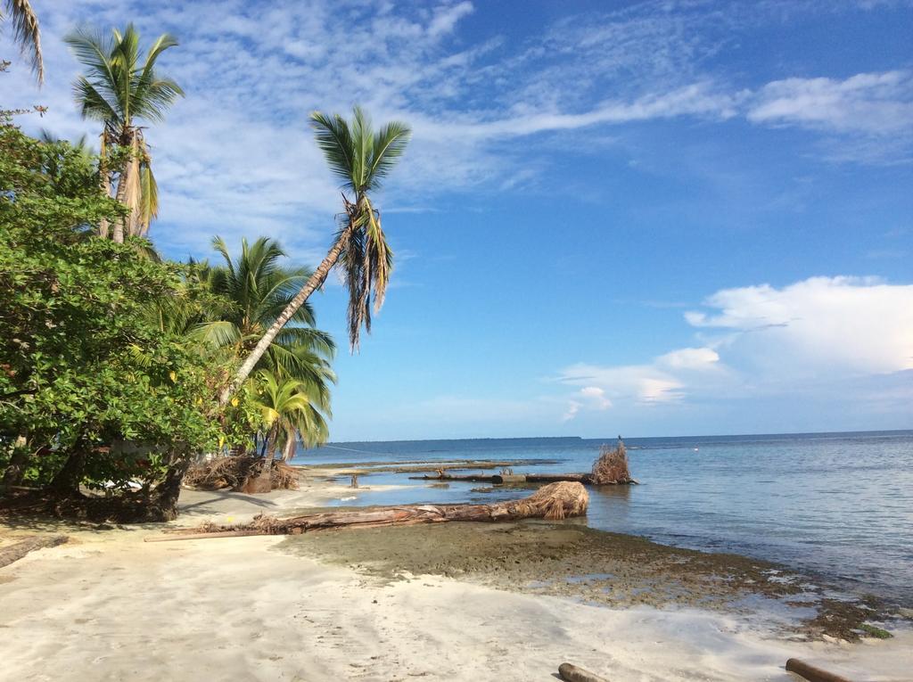 El Jardin De Playa Negra Villa Puerto Viejo de Talamanca Luaran gambar