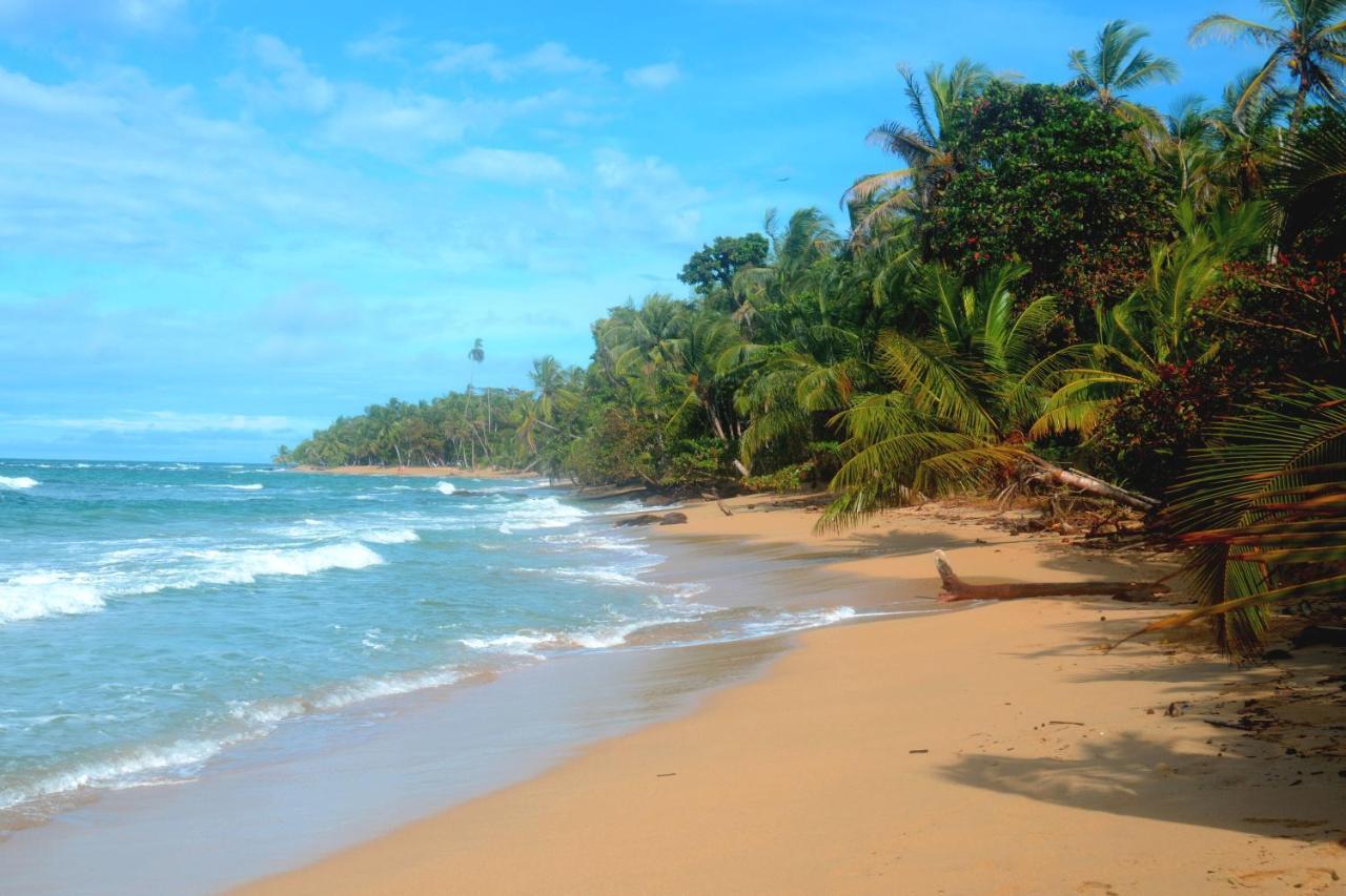 El Jardin De Playa Negra Villa Puerto Viejo de Talamanca Luaran gambar